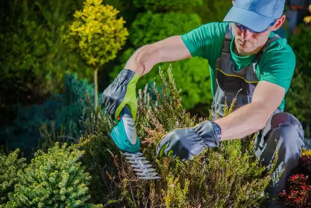 landscaping services New Knoxville